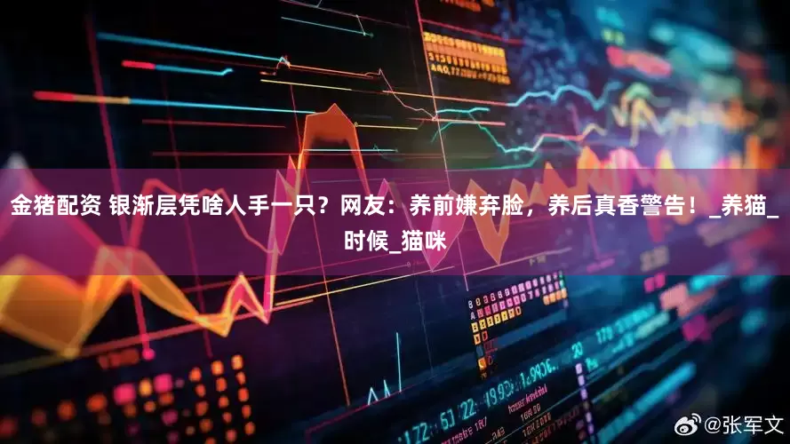 金猪配资 银渐层凭啥人手一只？网友：养前嫌弃脸，养后真香警告！_养猫_时候_猫咪