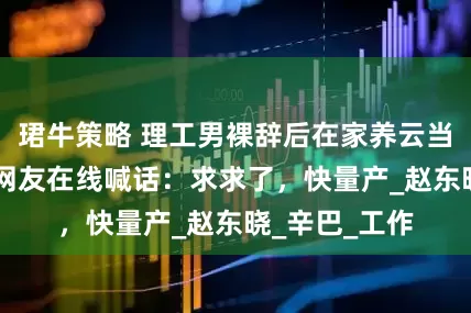 珺牛策略 理工男裸辞后在家养云当宠物，50万网友在线喊话：求求了，快量产_赵东晓_辛巴_工作