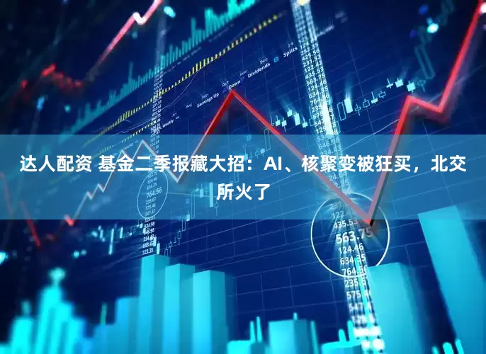 达人配资 基金二季报藏大招：AI、核聚变被狂买，北交所火了